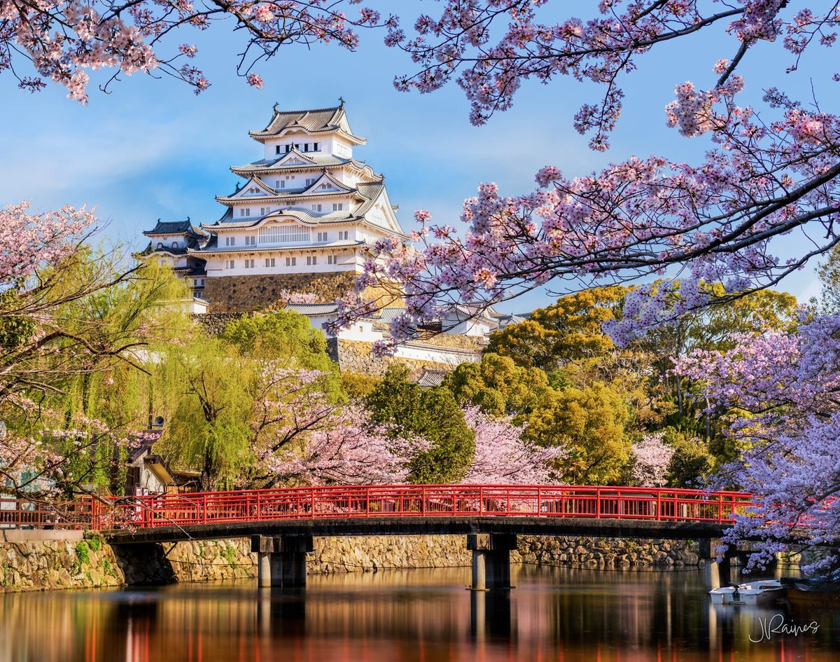 Himeji castle with bridge in spring